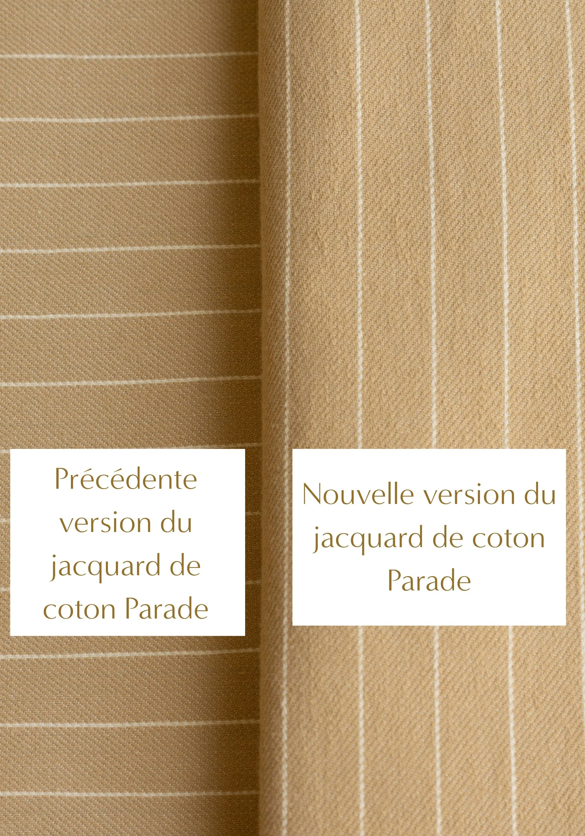 Tissu jacquard de coton Parade Camel - Image 7